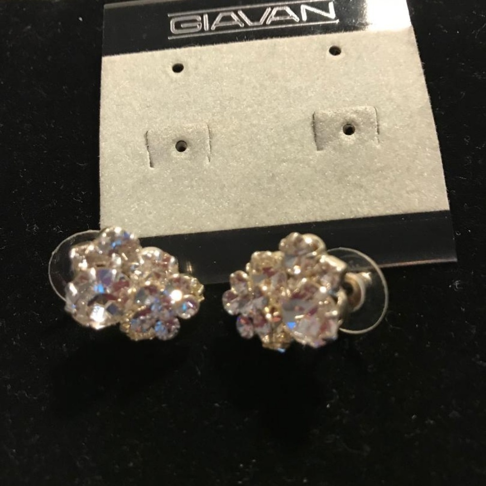 GIAVAN EARRINGS - Picture 5 of 6